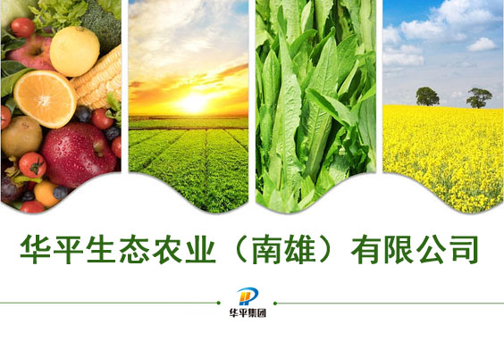 金年会生态农业（南雄）有限公司2.jpg